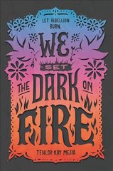 We Set the Dark on Fire цена и информация | Книги для подростков и молодежи | kaup24.ee