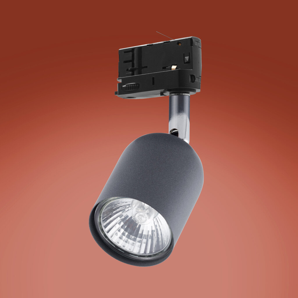 Süvistatav lamp siini TK LIGHTING 6058 цена и информация | Siinivalgustid ja siinid | kaup24.ee