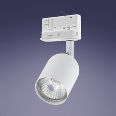 Süvistatav lamp siini TK LIGHTING 6057 hind ja info | Siinivalgustid ja siinid | kaup24.ee