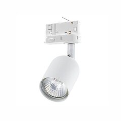 Встраиваемый в направляющие светильник TK LIGHTING 6057 цена и информация | Трековые светильники и шинопроводы | kaup24.ee