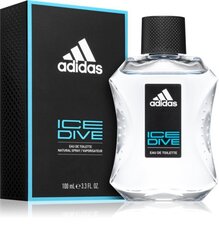 Tualettvesi Adidas Ice Dive EDT meestele 100 ml цена и информация | Мужские духи | kaup24.ee