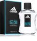 Tualettvesi Adidas Ice Dive EDT meestele 100 ml hind ja info | Meeste parfüümid | kaup24.ee
