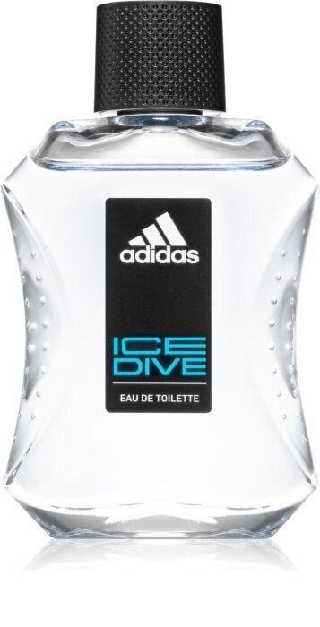 Tualettvesi Adidas Ice Dive EDT meestele 100 ml hind ja info | Meeste parfüümid | kaup24.ee