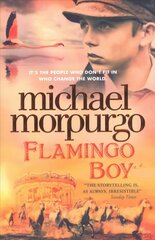 Flamingo Boy цена и информация | Книги для подростков и молодежи | kaup24.ee