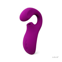 lelo Enigma hind ja info | Vibraatorid | kaup24.ee