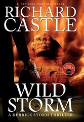 Wild Storm: A Derrick Storm Novel hind ja info | Fantaasia, müstika | kaup24.ee