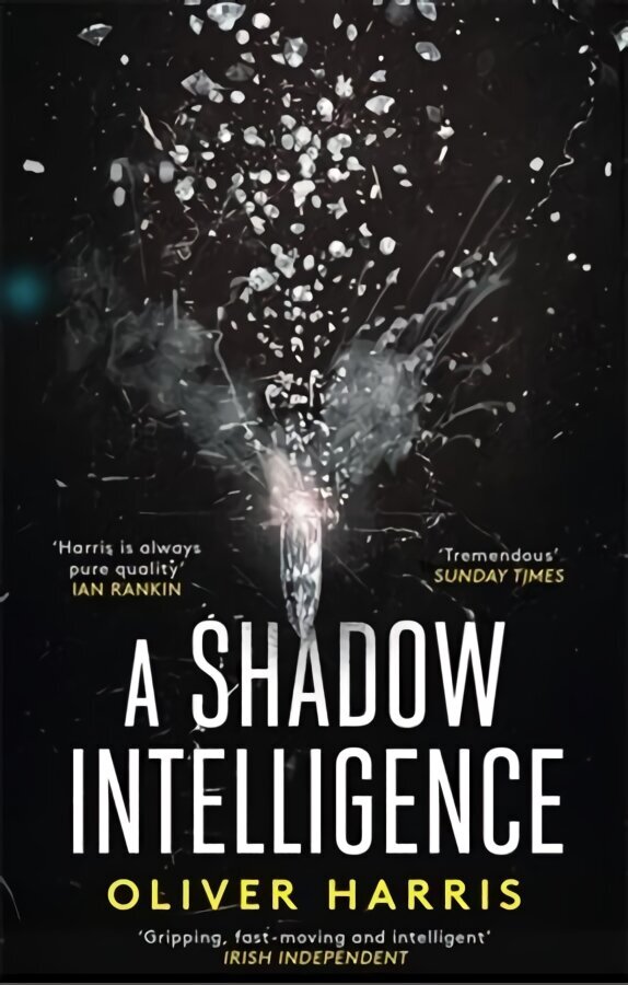 Shadow Intelligence: an utterly unputdownable spy thriller цена и информация | Fantaasia, müstika | kaup24.ee