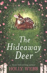 Hideaway Deer hind ja info | Noortekirjandus | kaup24.ee