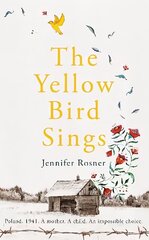 Yellow Bird Sings цена и информация | Фантастика, фэнтези | kaup24.ee