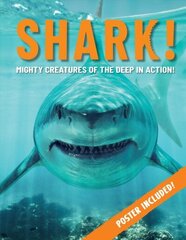 Shark!: Mighty Creatures of the Deep in Action 2nd ed. hind ja info | Noortekirjandus | kaup24.ee