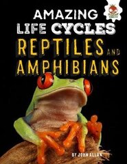 Reptiles and Amphibians - Amazing Life Cycles hind ja info | Noortekirjandus | kaup24.ee