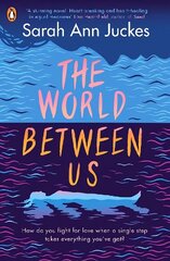 World Between Us hind ja info | Noortekirjandus | kaup24.ee