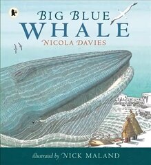 Big Blue Whale цена и информация | Книги для подростков и молодежи | kaup24.ee