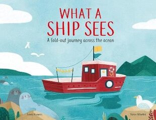 What a Ship Sees: A Fold-out Journey Across the Ocean цена и информация | Книги для малышей | kaup24.ee
