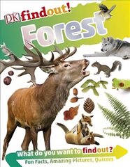 DKfindout! Forest hind ja info | Noortekirjandus | kaup24.ee