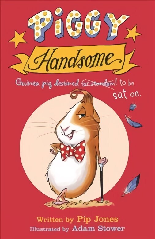 Piggy Handsome: Guinea Pig Destined for Stardom! Main, Book 1 hind ja info | Väikelaste raamatud | kaup24.ee
