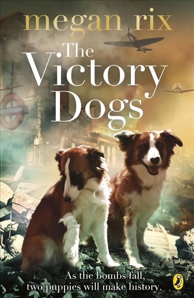 Victory Dogs цена и информация | Noortekirjandus | kaup24.ee