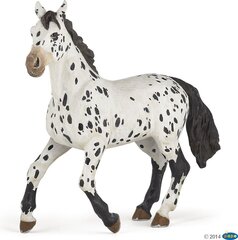 Figuur Papo Appaloosa hobune hind ja info | Tüdrukute mänguasjad | kaup24.ee