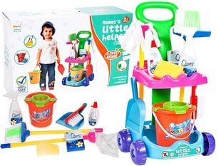Набор для чистки с коляской и ведром для детей цена и информация | Игрушки для девочек | kaup24.ee