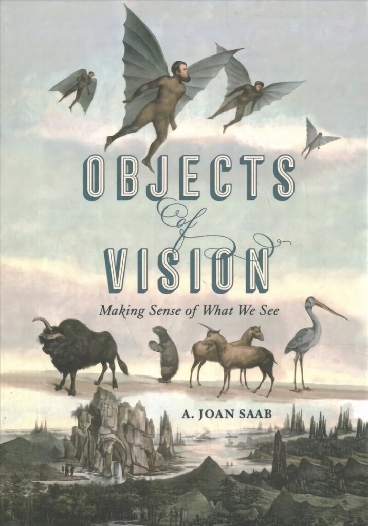Objects of Vision: Making Sense of What We See цена и информация | Kunstiraamatud | kaup24.ee