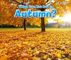 What Can You See In Autumn? цена и информация | Книги для малышей | kaup24.ee