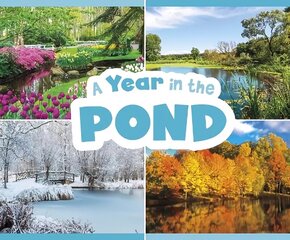 Year in the Pond цена и информация | Книги для малышей | kaup24.ee