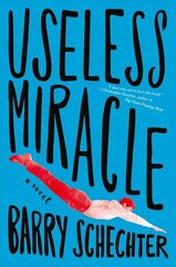 Useless Miracle цена и информация | Фантастика, фэнтези | kaup24.ee