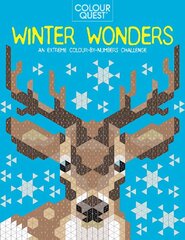 Colour Quest (R): Winter Wonders: An Extreme Colour by Numbers Challenge цена и информация | Книги для малышей | kaup24.ee