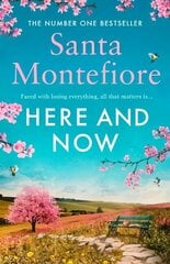 Here and Now: Evocative, emotional and full of life, the most moving book you'll read this year цена и информация | Фантастика, фэнтези | kaup24.ee