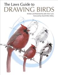 Laws Guide to Drawing Birds hind ja info | Kunstiraamatud | kaup24.ee