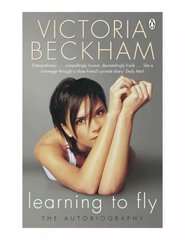 Learning to Fly цена и информация | Книги об искусстве | kaup24.ee