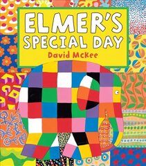 Elmer's Special Day hind ja info | Väikelaste raamatud | kaup24.ee