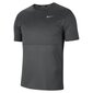 Meeste treeningsärk Nike M NK DF Run Top SS, hall цена и информация | Meeste spordiriided | kaup24.ee