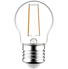 Светодиодная лампа 2,5 Вт G45 E27 FL AVIDE цена и информация | Лампочки | kaup24.ee