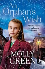 Orphan's Wish: The New, Most Heartwarming Historical Fiction Novel to Curl Up with This Winter ePub edition цена и информация | Фантастика, фэнтези | kaup24.ee