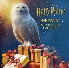 Harry Potter: Hedwig Pop-Up Advent Calendar цена и информация | Книги об искусстве | kaup24.ee