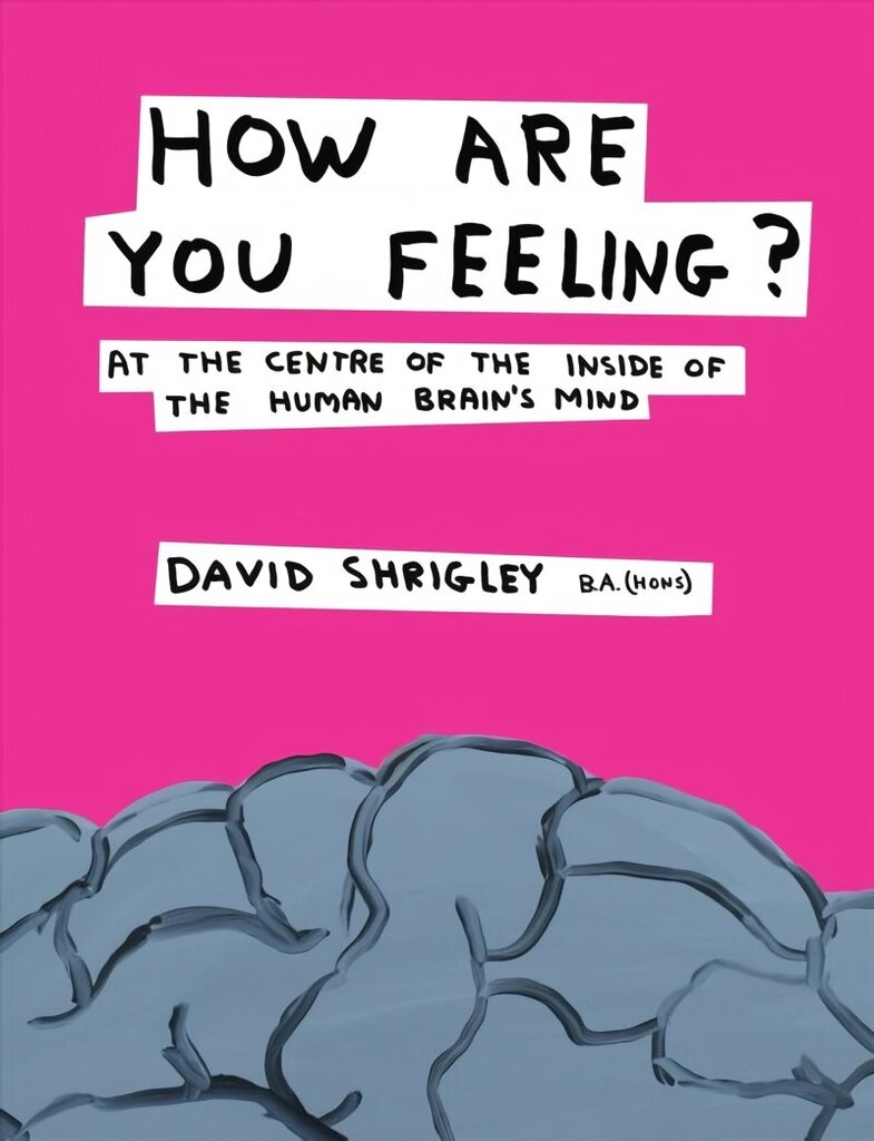 How Are You Feeling?: At the Centre of the Inside of The Human Brain's Mind Main цена и информация | Kunstiraamatud | kaup24.ee