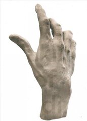 Making of Rodin цена и информация | Книги об искусстве | kaup24.ee