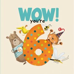 WOW! You're Six birthday book цена и информация | Книги для малышей | kaup24.ee