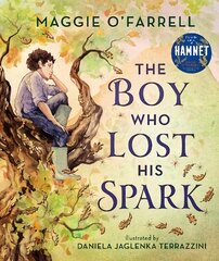 Boy Who Lost His Spark цена и информация | Книги для малышей | kaup24.ee