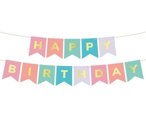 Гирлянда "Happy Birthday", multicolour, 200 x 18см (RV-GPHB) 7697 цена и информация | Гудки для вечеринки Clown Face (4шт.) | kaup24.ee