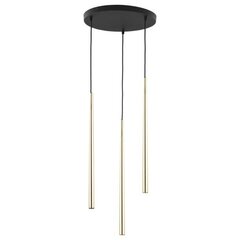 Подвесной светильник TK Lighting Piano Gold 6421 цена и информация | Потолочный светильник, 38 x 38 x 24 см | kaup24.ee