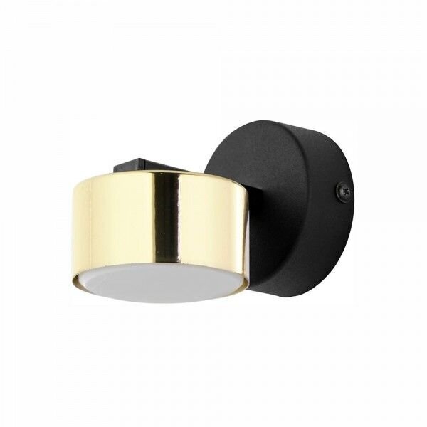 Seinavalgusti TK Lighting Dallas gold 6090 цена и информация | Seinavalgustid | kaup24.ee