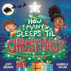 How Many Sleeps 'til Christmas?: A Countdown to the Most Special Day of the Year цена и информация | Книги для малышей | kaup24.ee