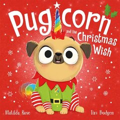 Magic Pet Shop: Pugicorn and the Christmas Wish цена и информация | Книги для малышей | kaup24.ee