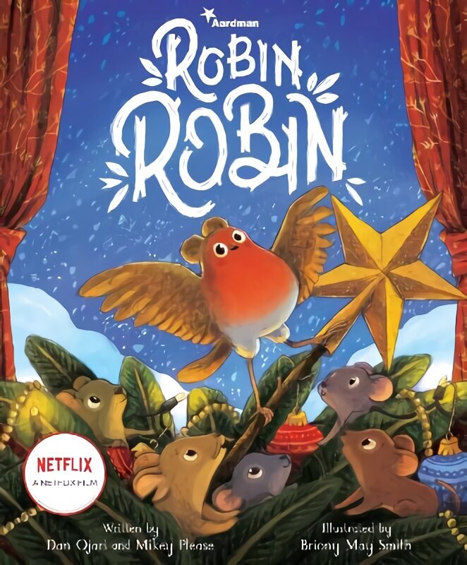 Robin Robin hind ja info | Väikelaste raamatud | kaup24.ee