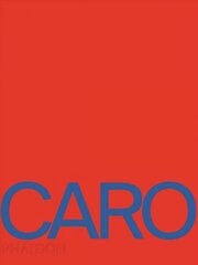 Anthony Caro цена и информация | Книги об искусстве | kaup24.ee