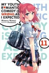 My Youth Romantic Comedy Is Wrong, As I Expected, Vol. 11 (light novel) hind ja info | Fantaasia, müstika | kaup24.ee