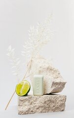 Deodorant Banbu So Fresh Varb (65 g) hind ja info | Deodorandid | kaup24.ee