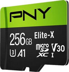 PNY P-SDU256U3100EX-GE hind ja info | Mobiiltelefonide mälukaardid | kaup24.ee